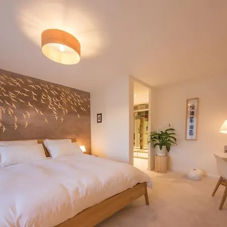 Villa Luxe, Au Calme Avec Piscine A 5min Du Annecy