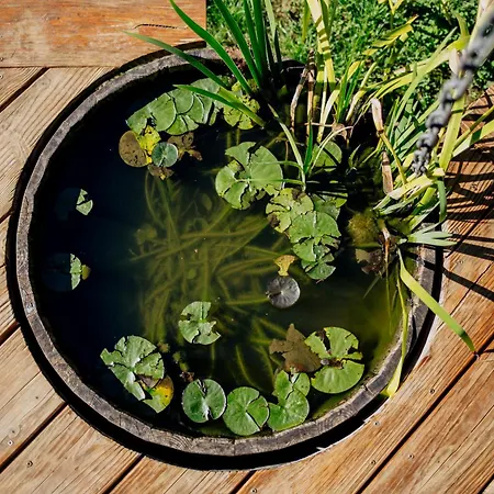 Luxe, Au Calme Avec Piscine A 5min Du *